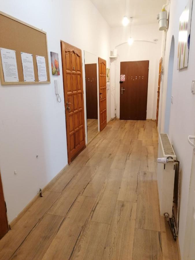 Hostel Tulip - Pokoj Jednoosobowy Nr 3 Ze Wspolna Lazienka I Kuchnia Szczecin Luaran gambar